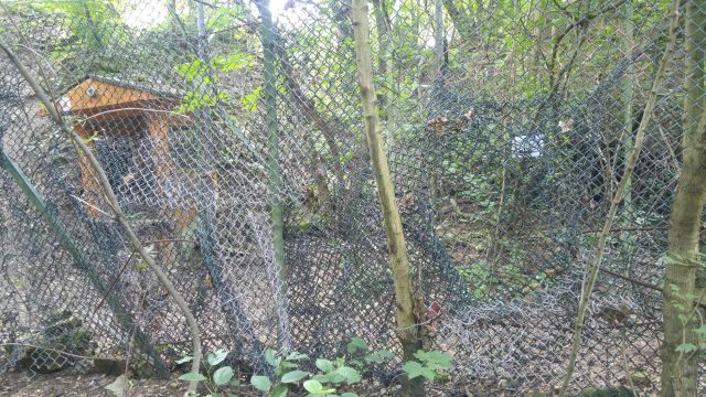 Count how many times the fence has been broken and then repaired. Or, go insane trying. Either's good.